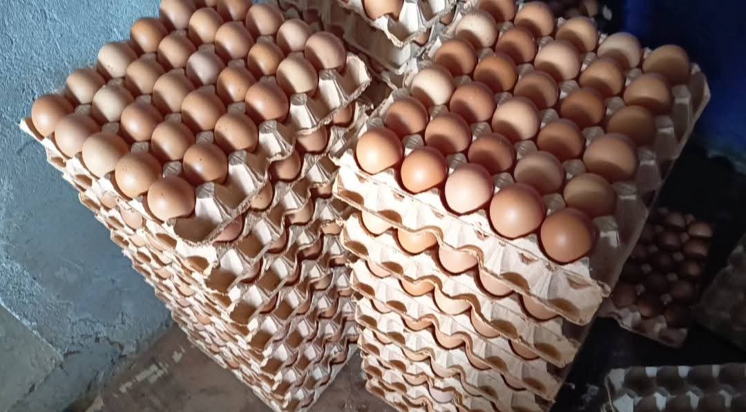 Stacked egg crates filled with fresh brown eggs