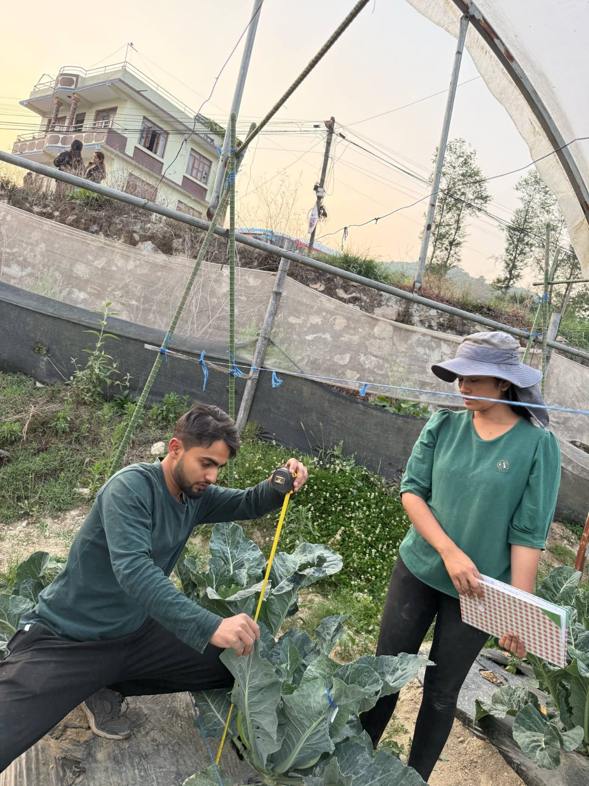 Samriddhi technical team measuring crop development in the field