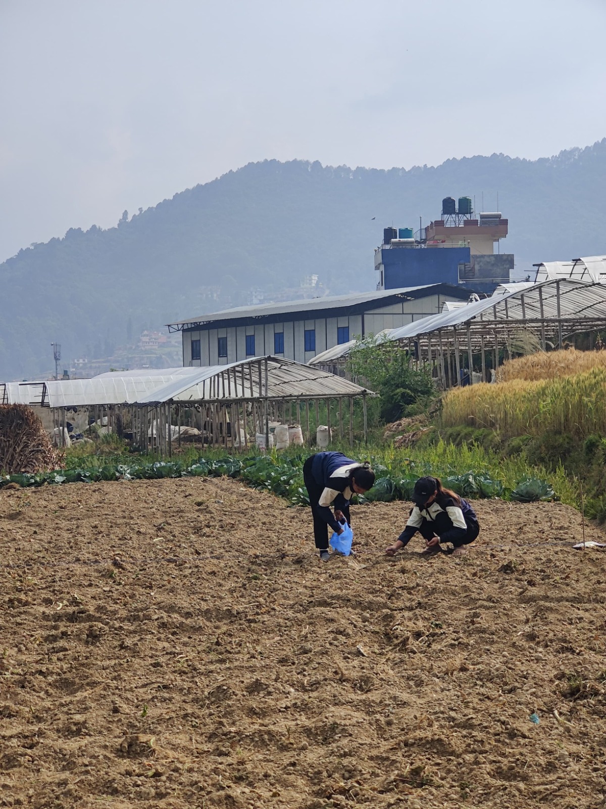Farmers preparing land and planting crops in Ichchakamana